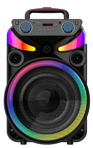 Φορητό ηχείο Bluetooth1x15inch