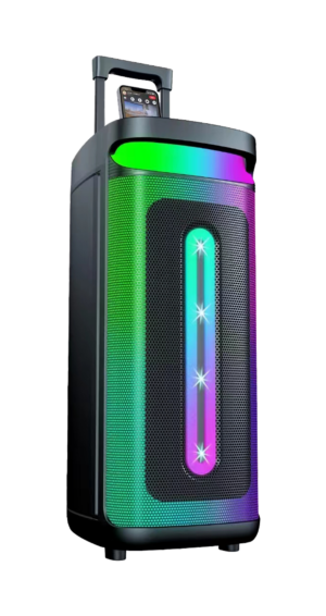 Φορητό ηχείο Bluetooth 2x8inch